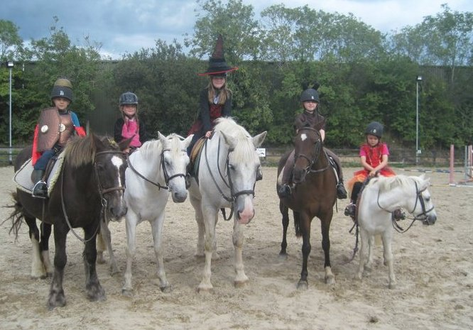 14++ Horse stables wexford information